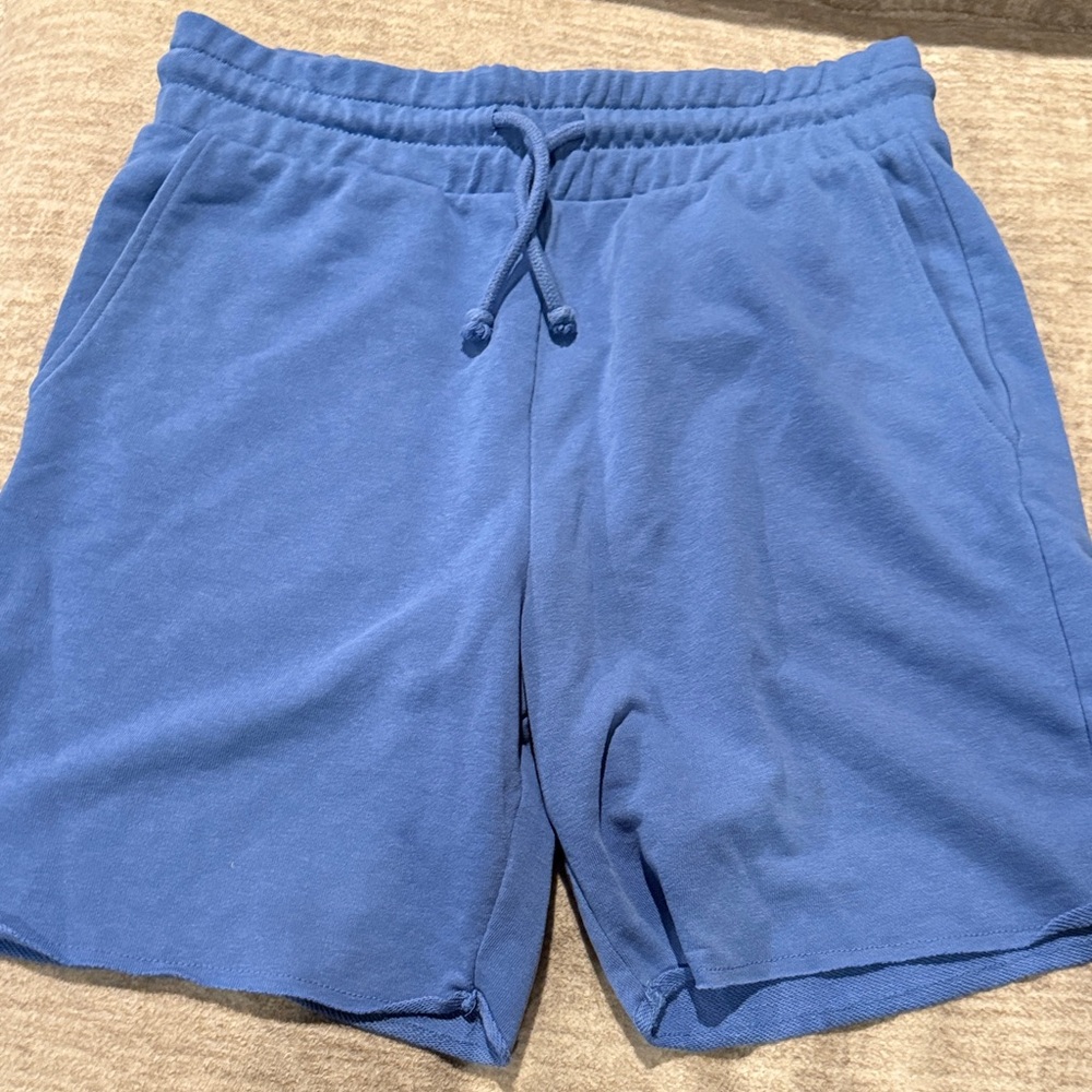 H&M Regular Fit Blue Men's Sweat Shorts (size SMALL)